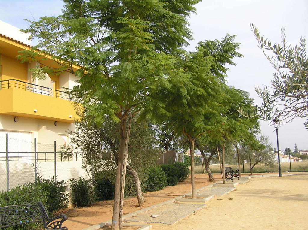 إسبارتيناس Apartamentos Turisticos Los Girasoles المظهر الخارجي الصورة